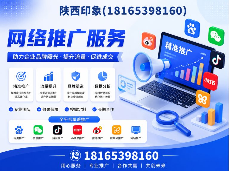 阎良区西安网站建设展示图